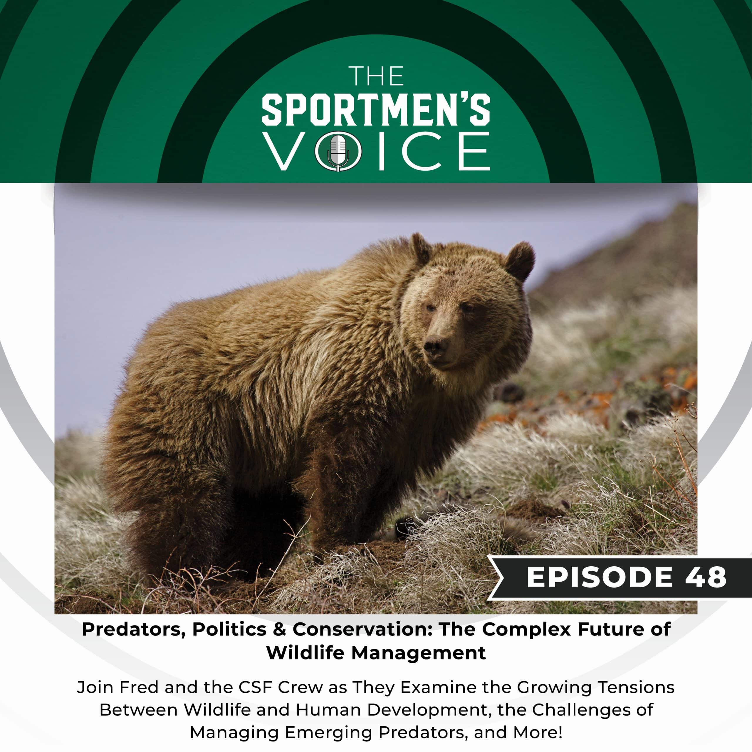 Predators, Politics & Conservation: The Complex Future of Wildlife ...