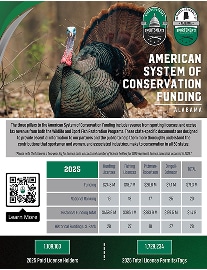 ASCF Fact Sheet Cover