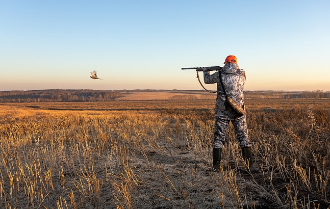 Hunter hunting duck in farm field