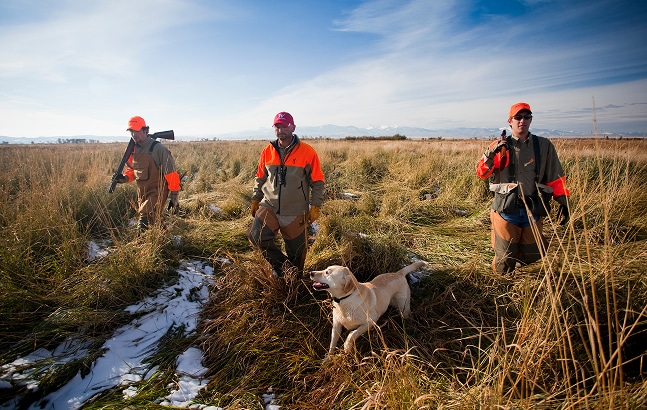 Three hunters with dog in field