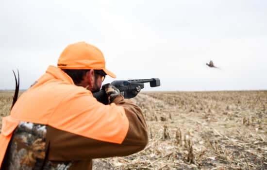 Man aiming at game bird in field