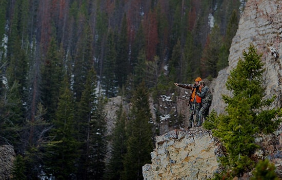 Hunters standing on high ridge looking across forest