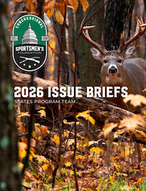 Cover of CSF 2026 Issue Briefs
