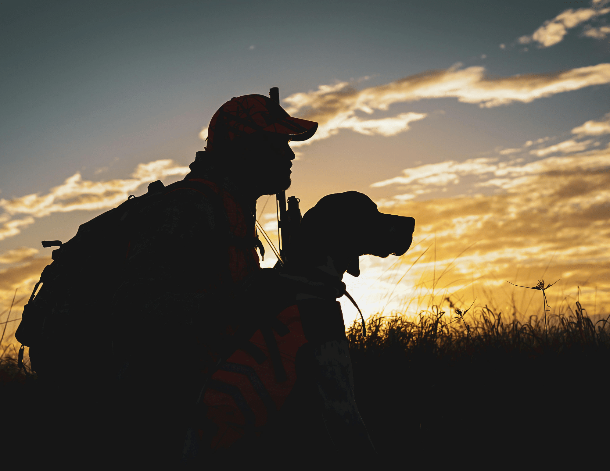 Silhouette of hunter sitting next to hunting dog