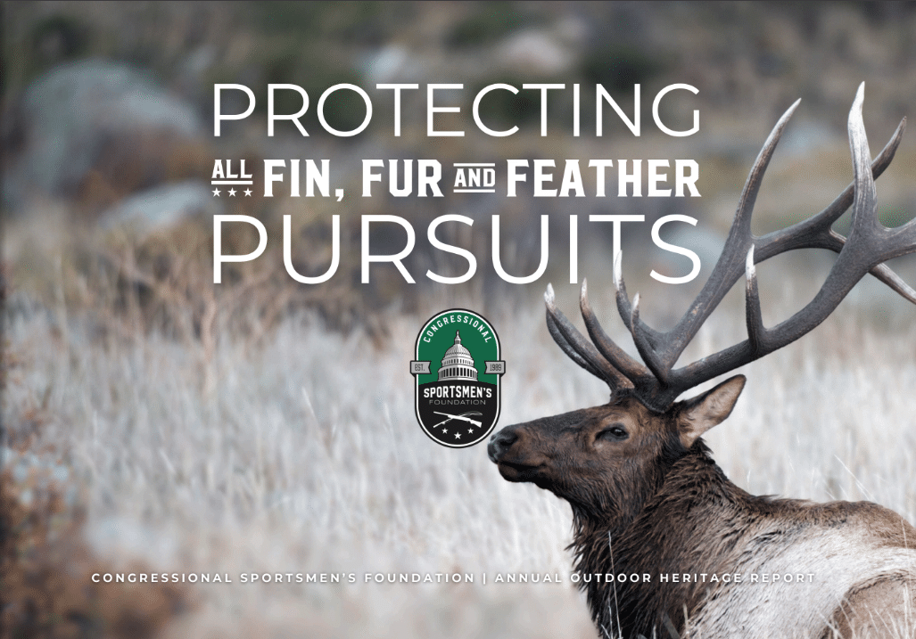 Cover of 2025 Annual Report