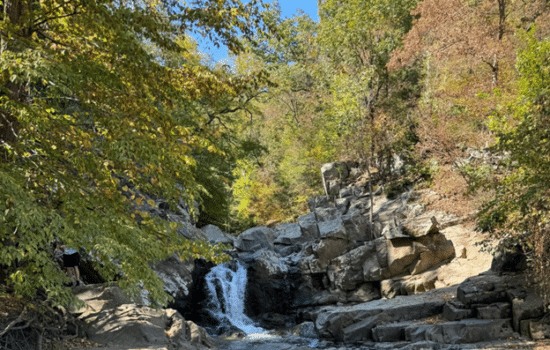 Waterfall in the woods