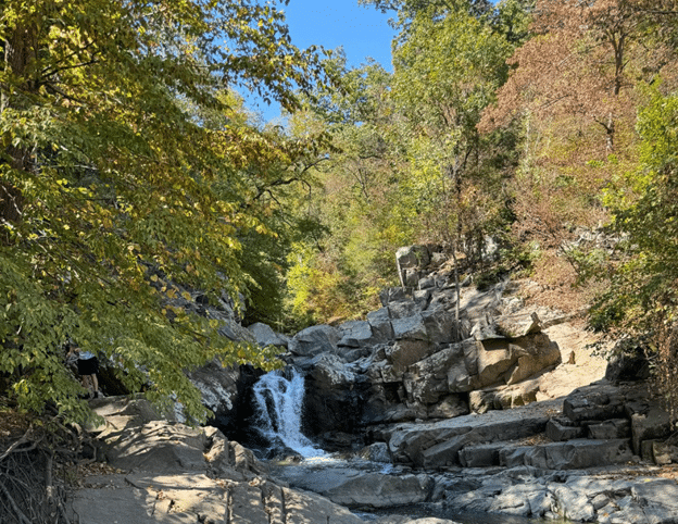 Waterfall in the woods