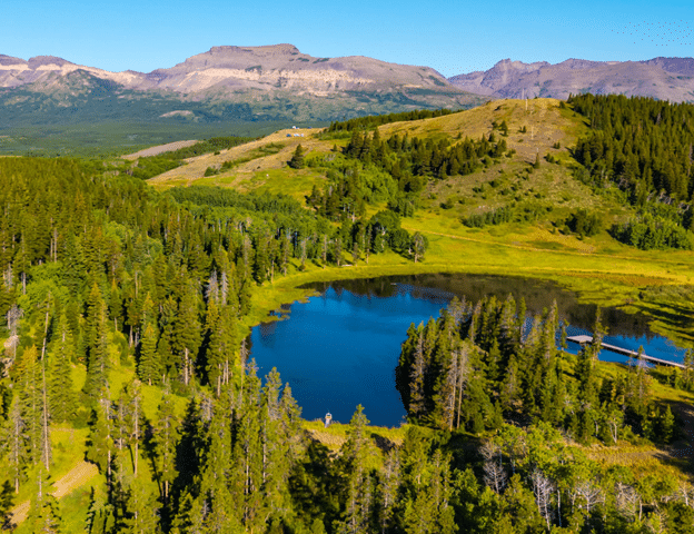 Aerial view of lake in woods with mountains in background