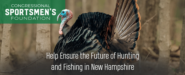 Turkey with New Hampshire future hunting and fishing text