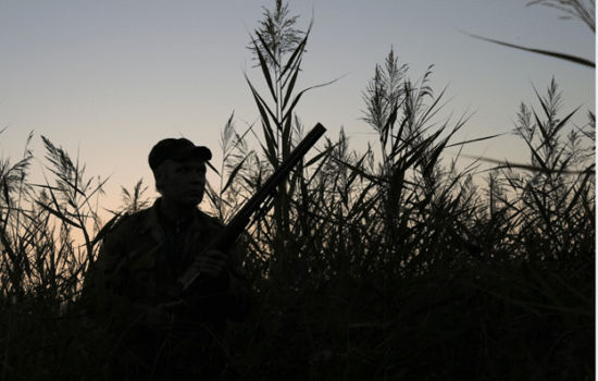 Silhouette of hunter in high grass at dusk