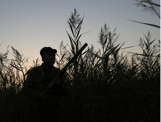 Silhouette of hunter in high grass at dusk