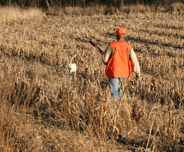 Hunter with dog in field