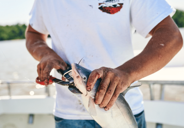Angler with freshly caught fish