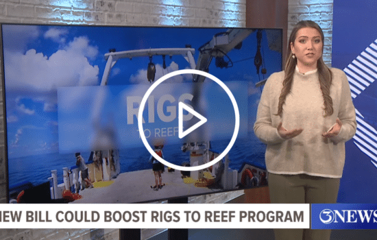 Screenshot of 3 News Rigs to Reefs program