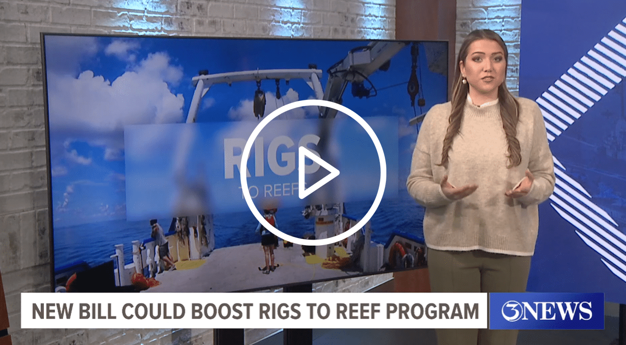 Screenshot of 3 News Rigs to Reefs program